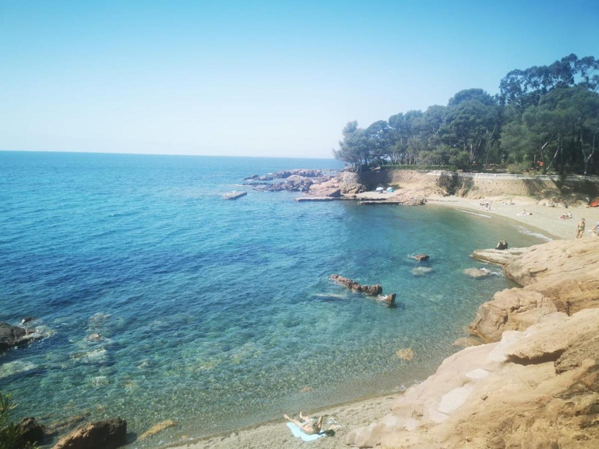 Mobil Home Neuf Camping L Ile Dor Plage St Raphael Avec Piscine Saint-Raphaël Exterior foto